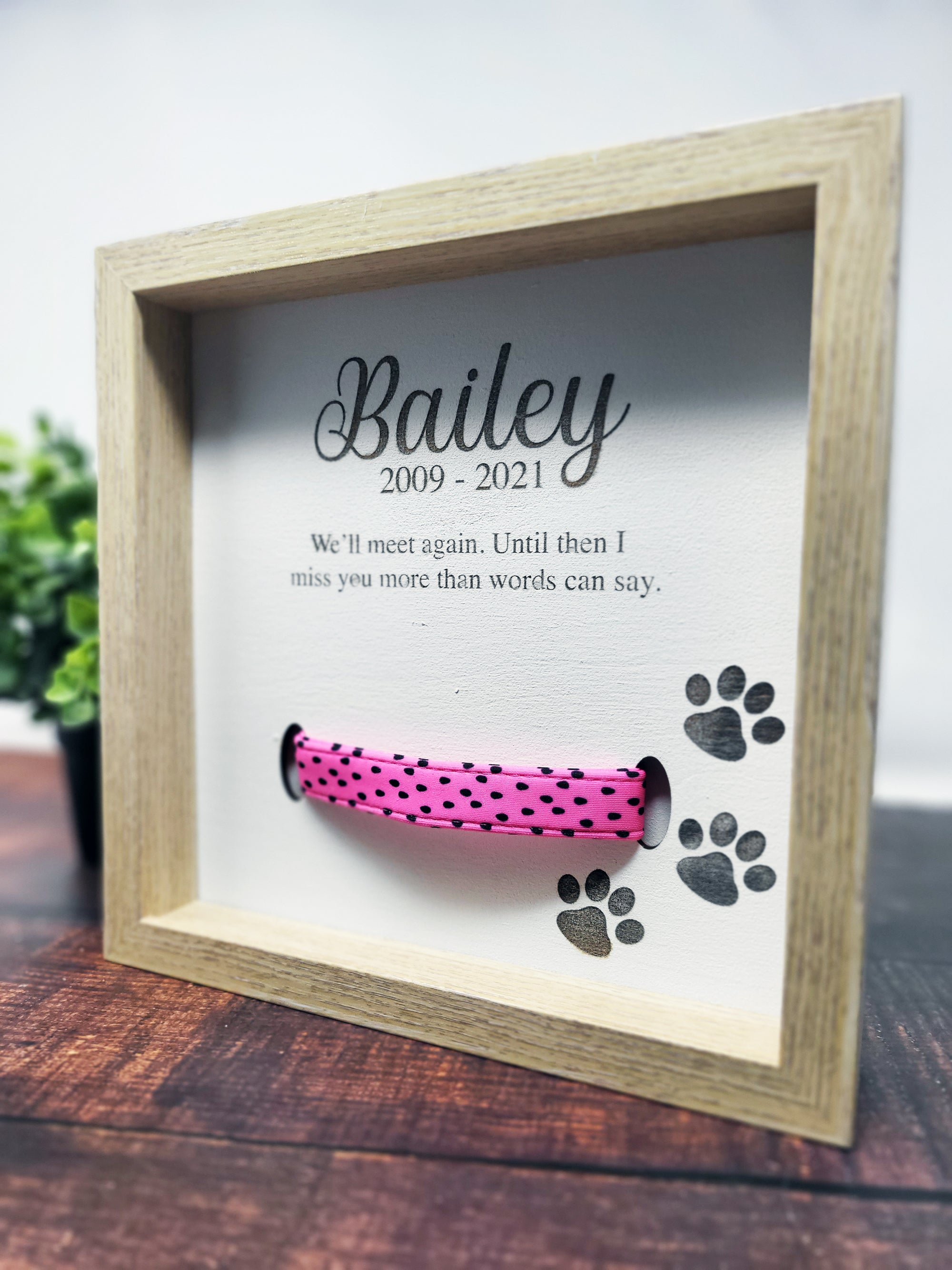 Pet Collar Shadow Box