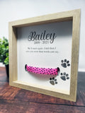 Pet Collar Shadow Box