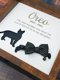 Pet Collar Shadow Box