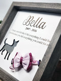 Pet Collar Shadow Box