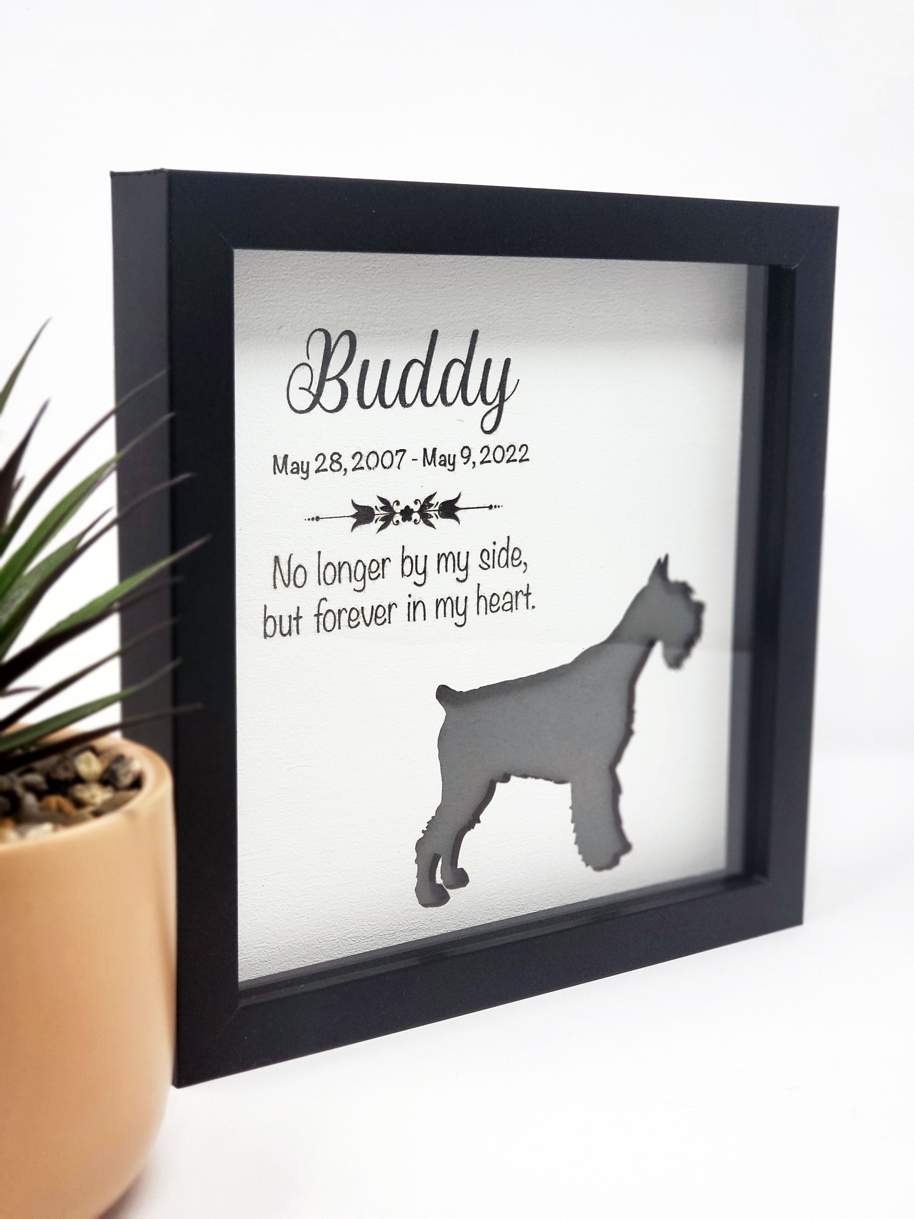 Pet Memorial Shadow Box