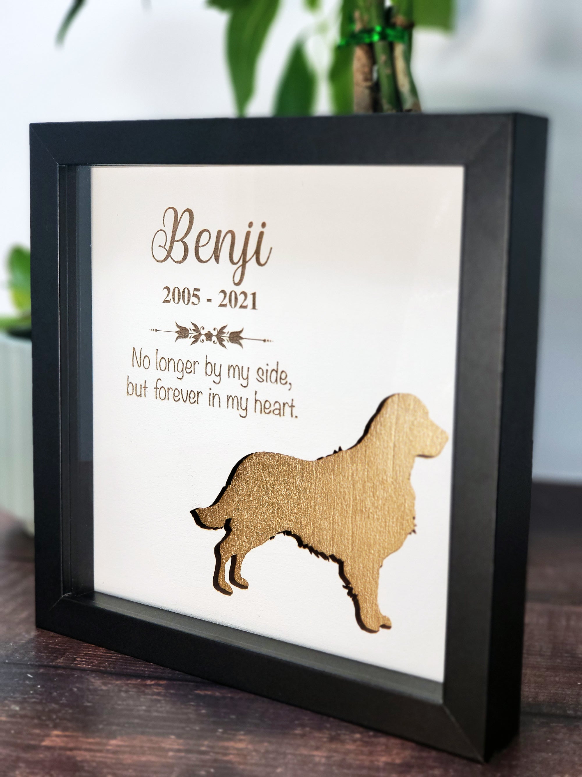 Pet Memorial Shadow Box