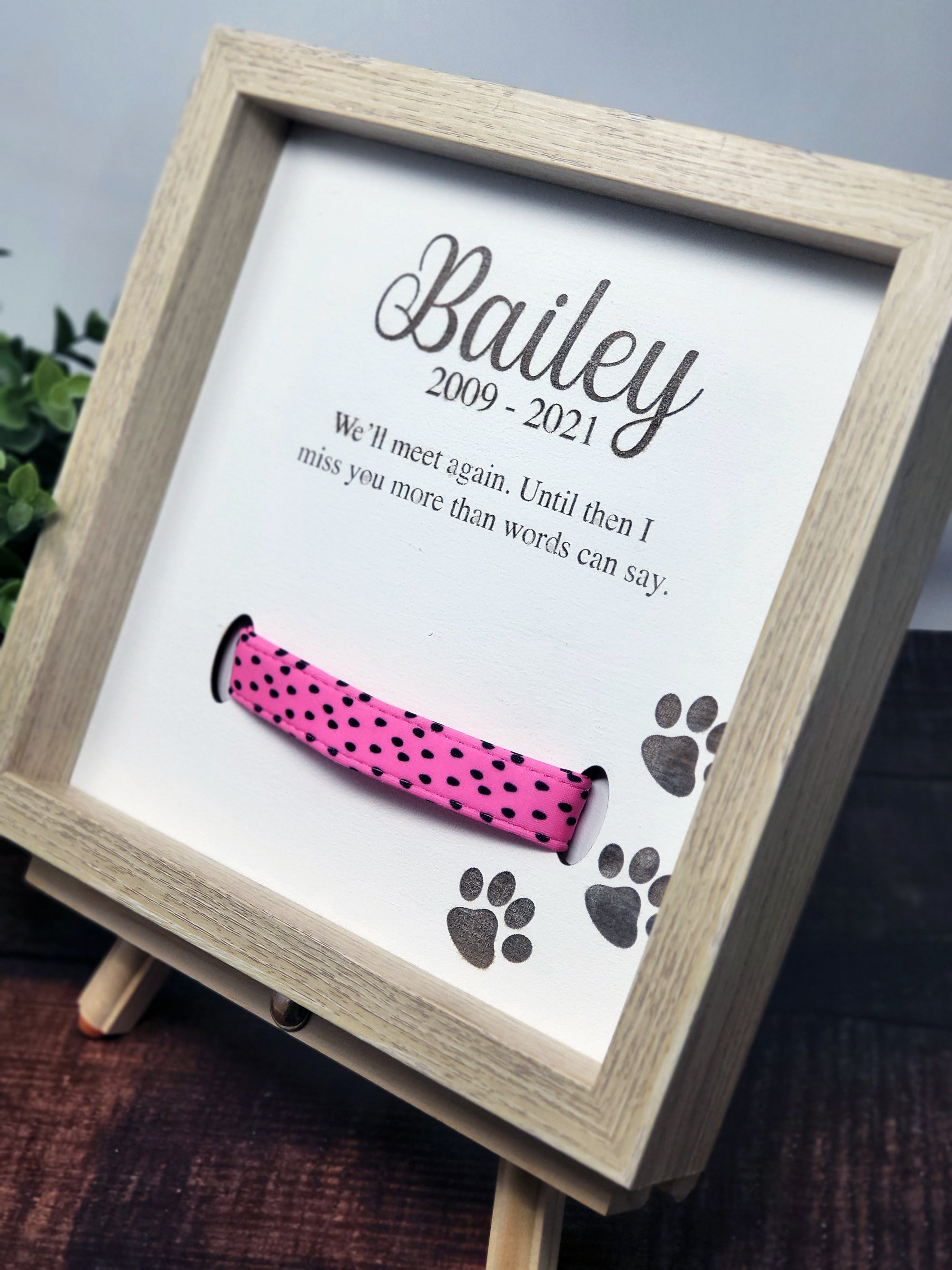 Pet Collar Shadow Box – Created For Me Laser Engraved Gifts & More